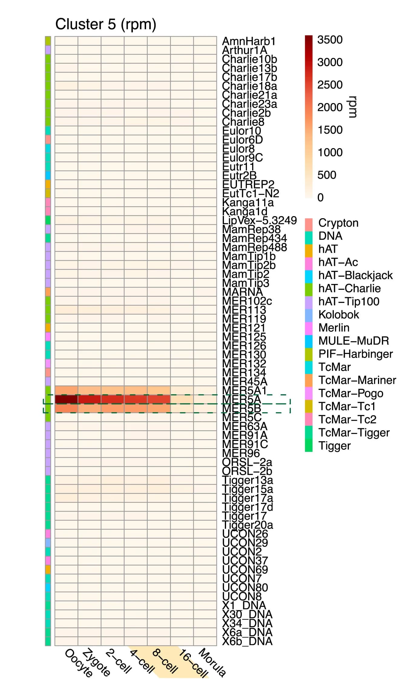 Open access visualization of Heatmap, Expression Values, Embryos, TEs, Subclasses