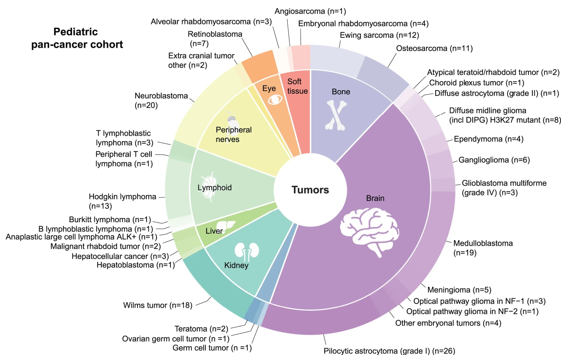 Open access visualization of Donut Chart, Pie Chart, Tumor Types, Children, ISAC Study
