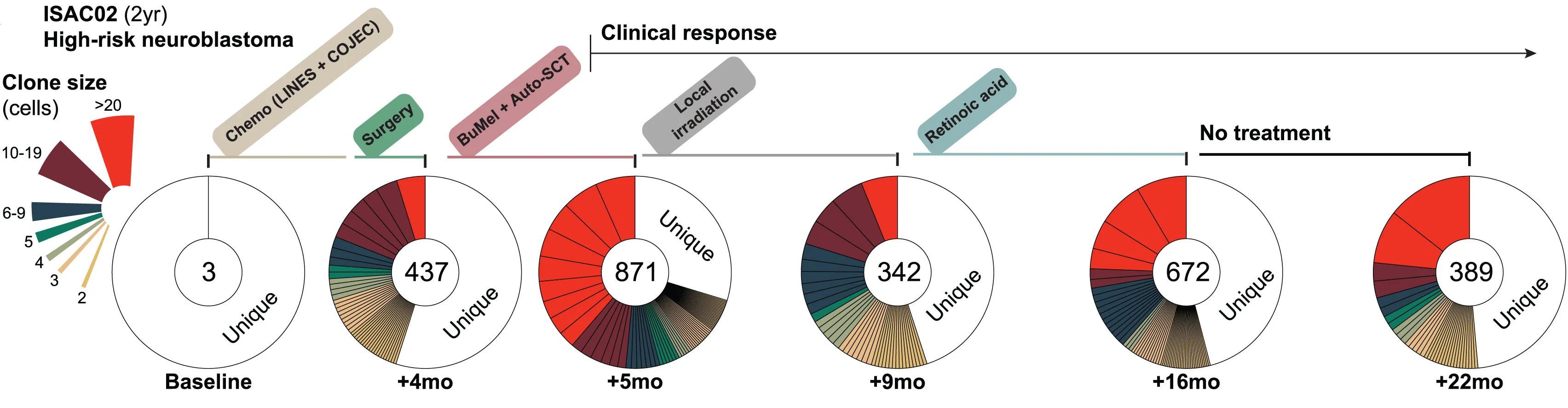 Open access visualization of Pie Chart, CD8+T Cells, scVDJ, mRNA Sequencing, BD Rhapsody