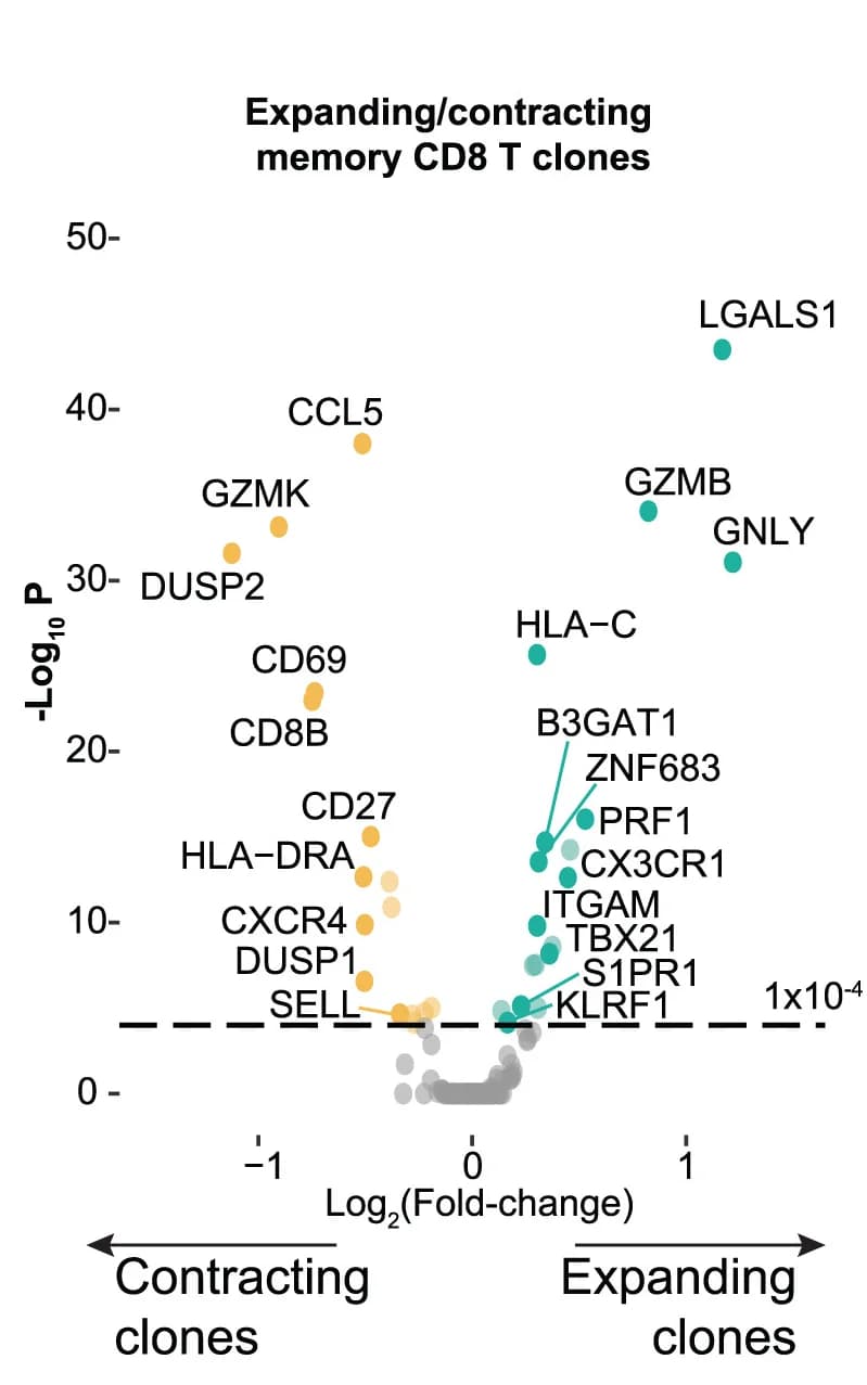Open access visualization of Scatter Plot, Transcriptional, sc-mRNA-seq, Clones, Diagnosis