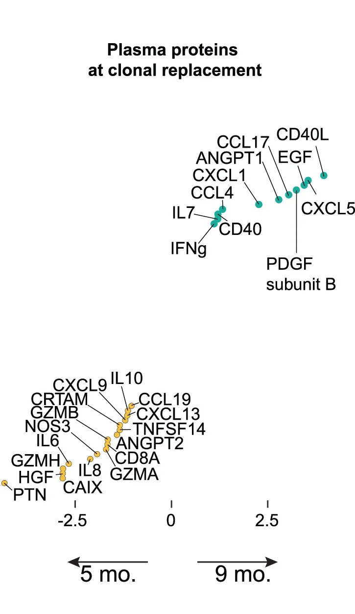 Open access visualization of Scatter Plot, Plasma Protein, Clonal Replacement, Diagnosis, Remission