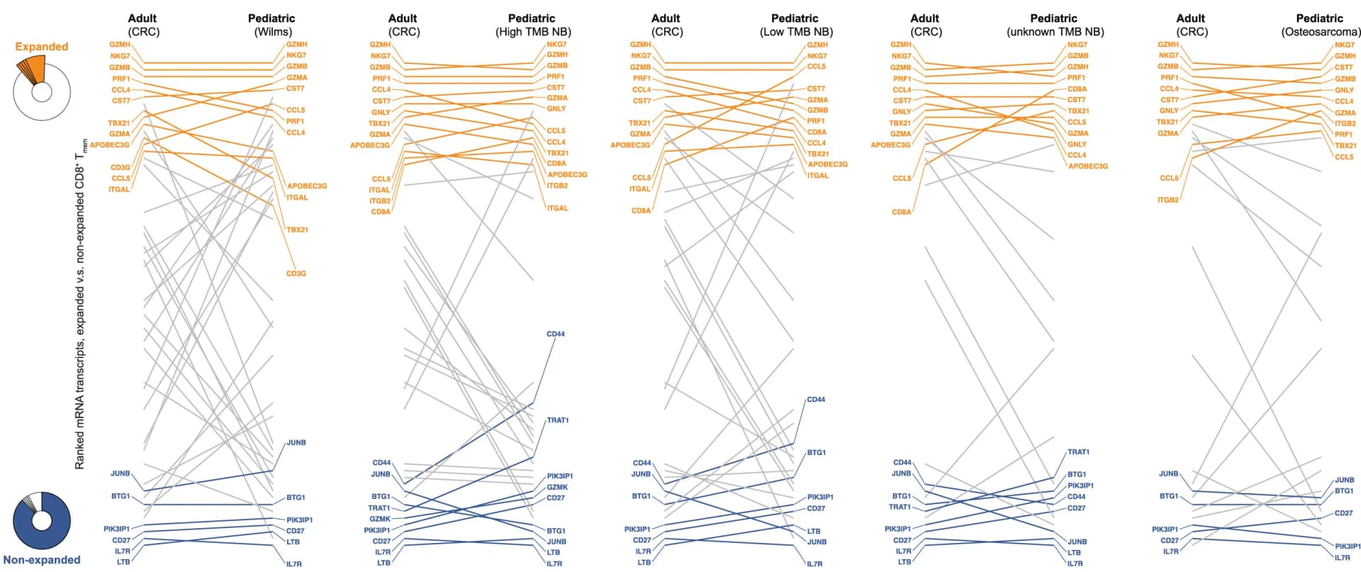Open access visualization of Sankey, Pie Chart, Donut Chart, Memory CD8+ T Cells, Single-cell VDJ Sequencing