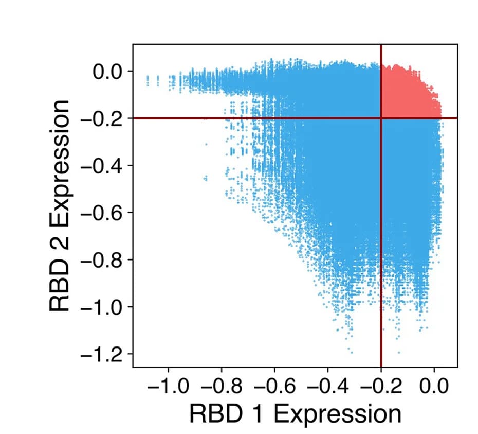 Open access visualization of Scatter Plot, RBD Sequences, Predicted Expression, WA1 RBD, logMFI