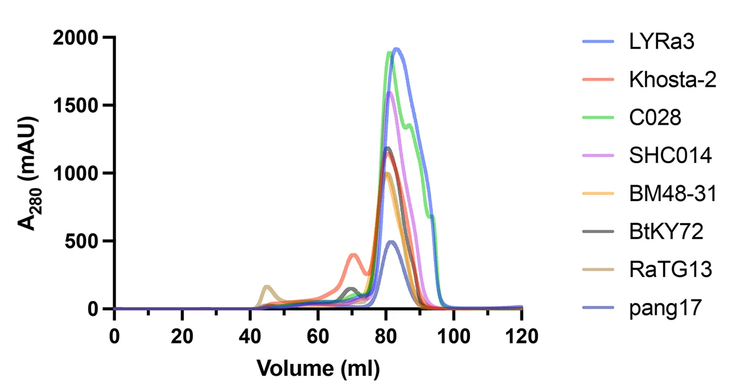 Open access visualization of Line Plot, SEC Profiles, Sarbecovirus RBDs, RBD3, RBD8