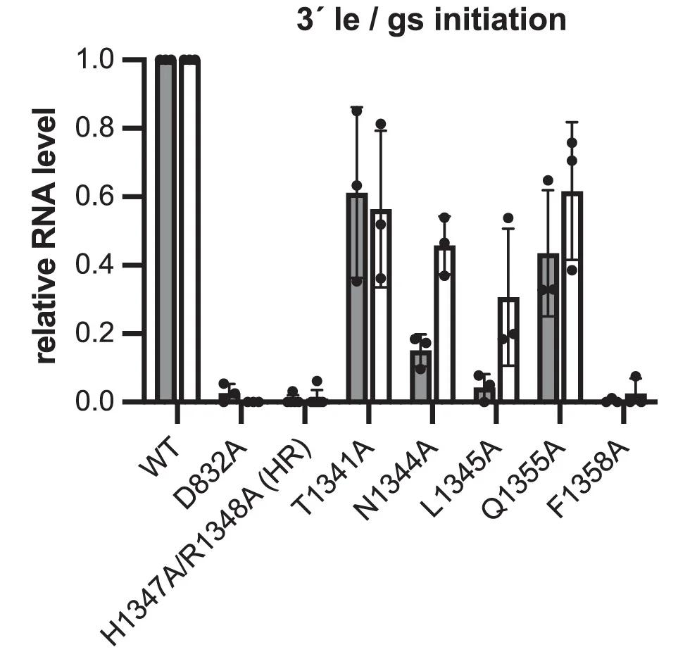 Open access visualization of Bar Plot, Error Bars, Quantification, Initiation Products, 3' le