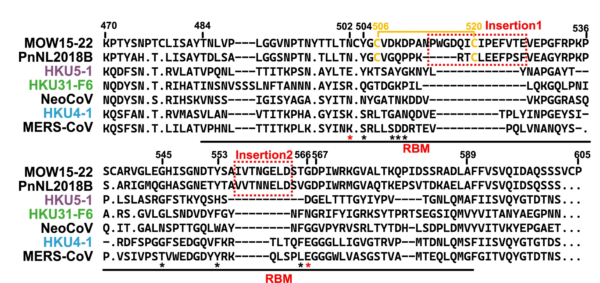 Open access visualization of Illustration, Workflow, RBM, Sequence Alignment, Merbecoviruses