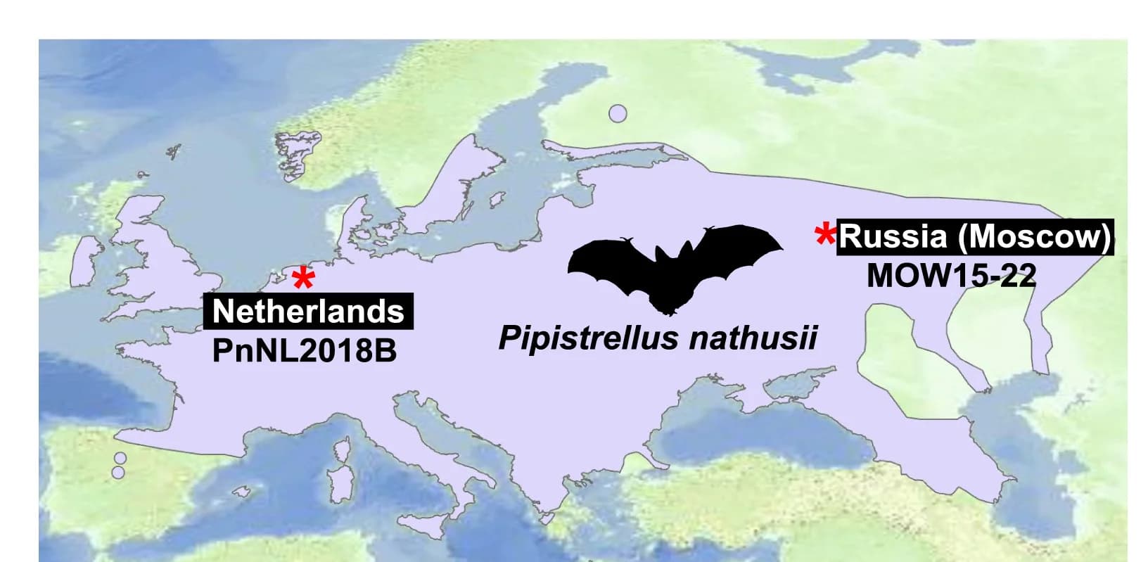 Open access visualization of Geo Map, Geographical Distribution, Habitat, Europe, Discovery Locations