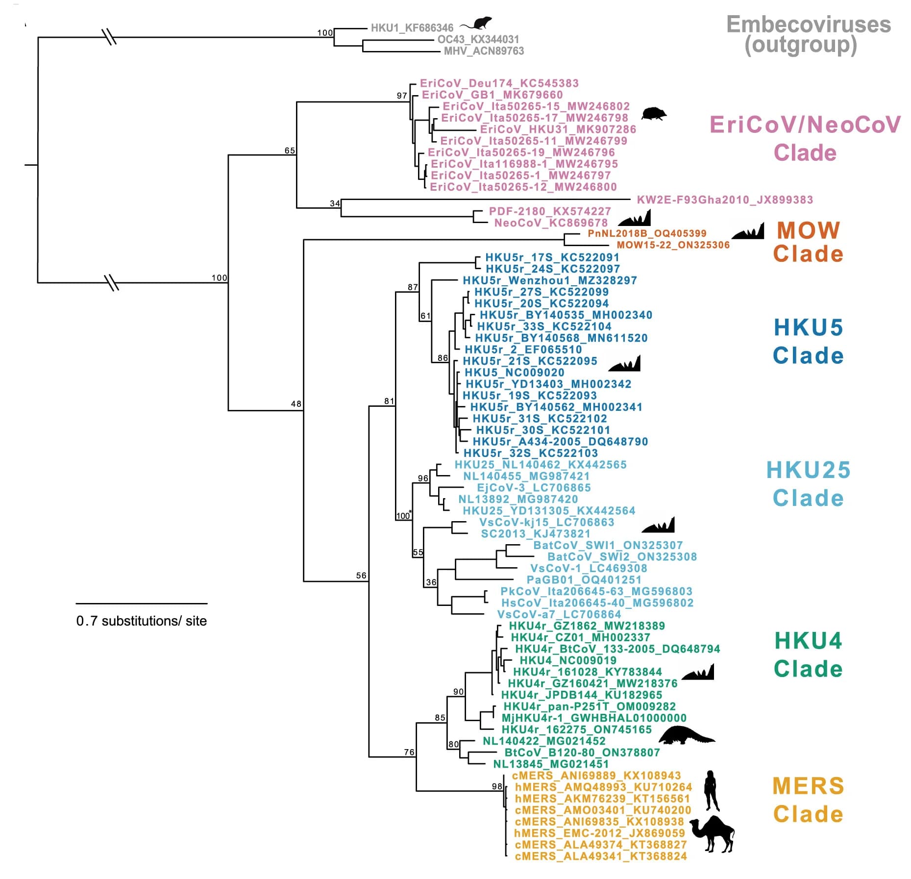Open access visualization of Line Plot, Merbecovirus RBD, Phylogenetic Tree, Amino Acid Sequences, Clades