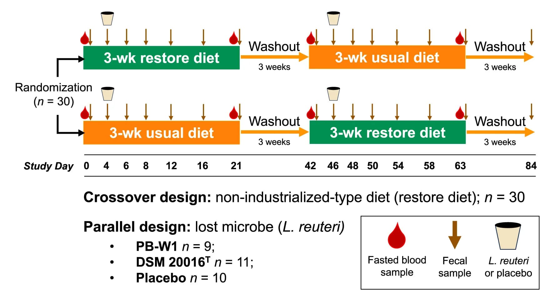 Open access visualization of Workflow, Flowchart, Randomized Controlled Trial, Sample Collection