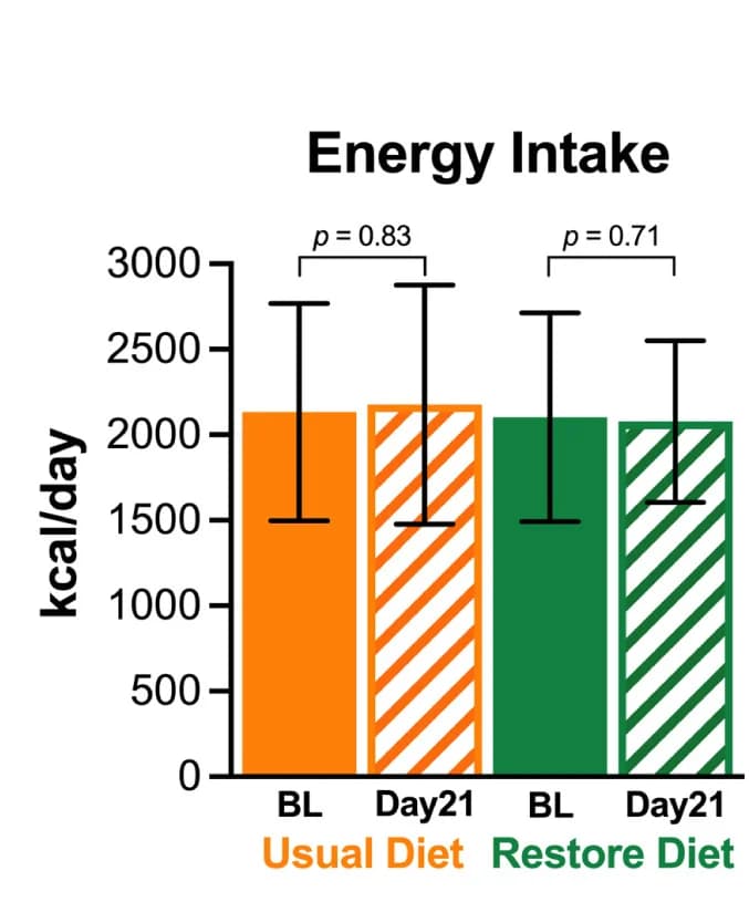 Open access visualization of Bar Plot, Error Bars, Clustered, Energy Intake, Diet Period