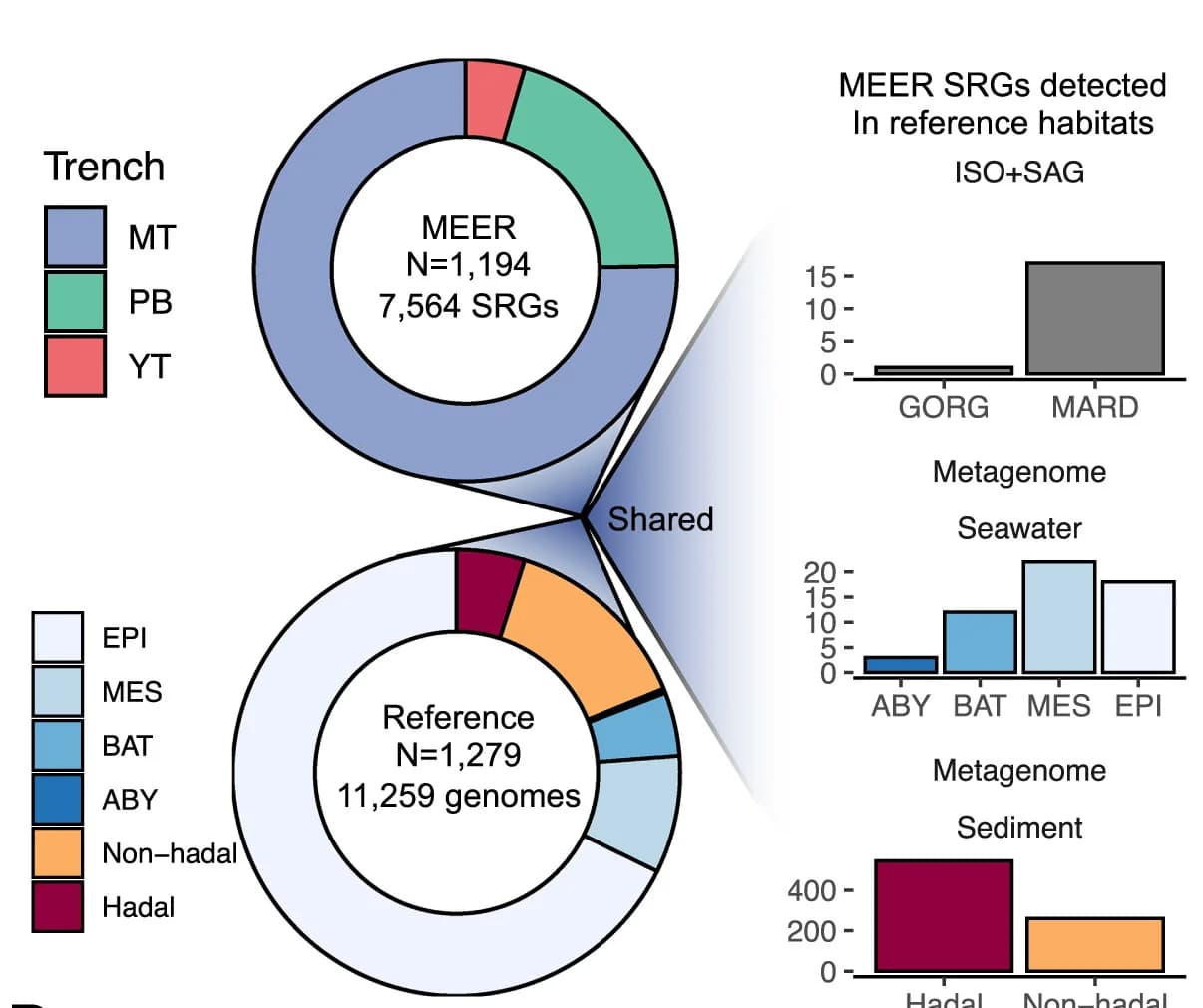 Open access visualization of Donut Chart, Bar Plot, Species-Level Representative Genomes, MEER Dataset, Ocean Microbiomics Database