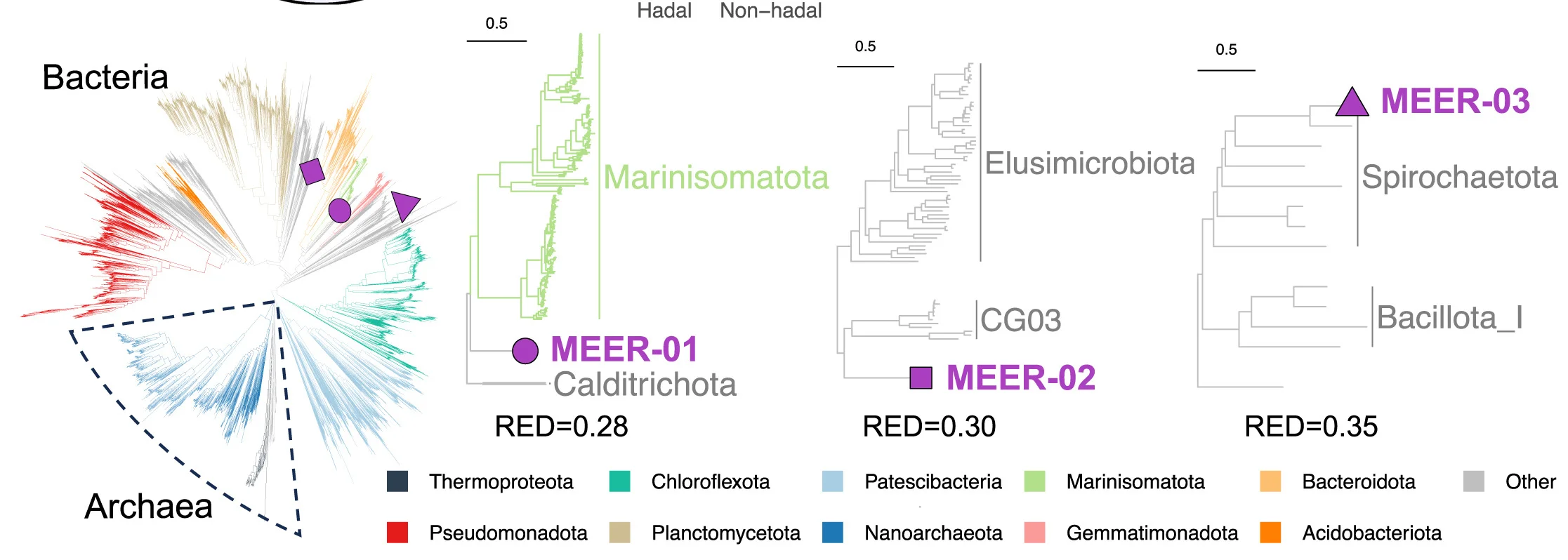 Open access visualization of Network, Pathway, Phylogenetic Tree, SRGs, MEER Dataset