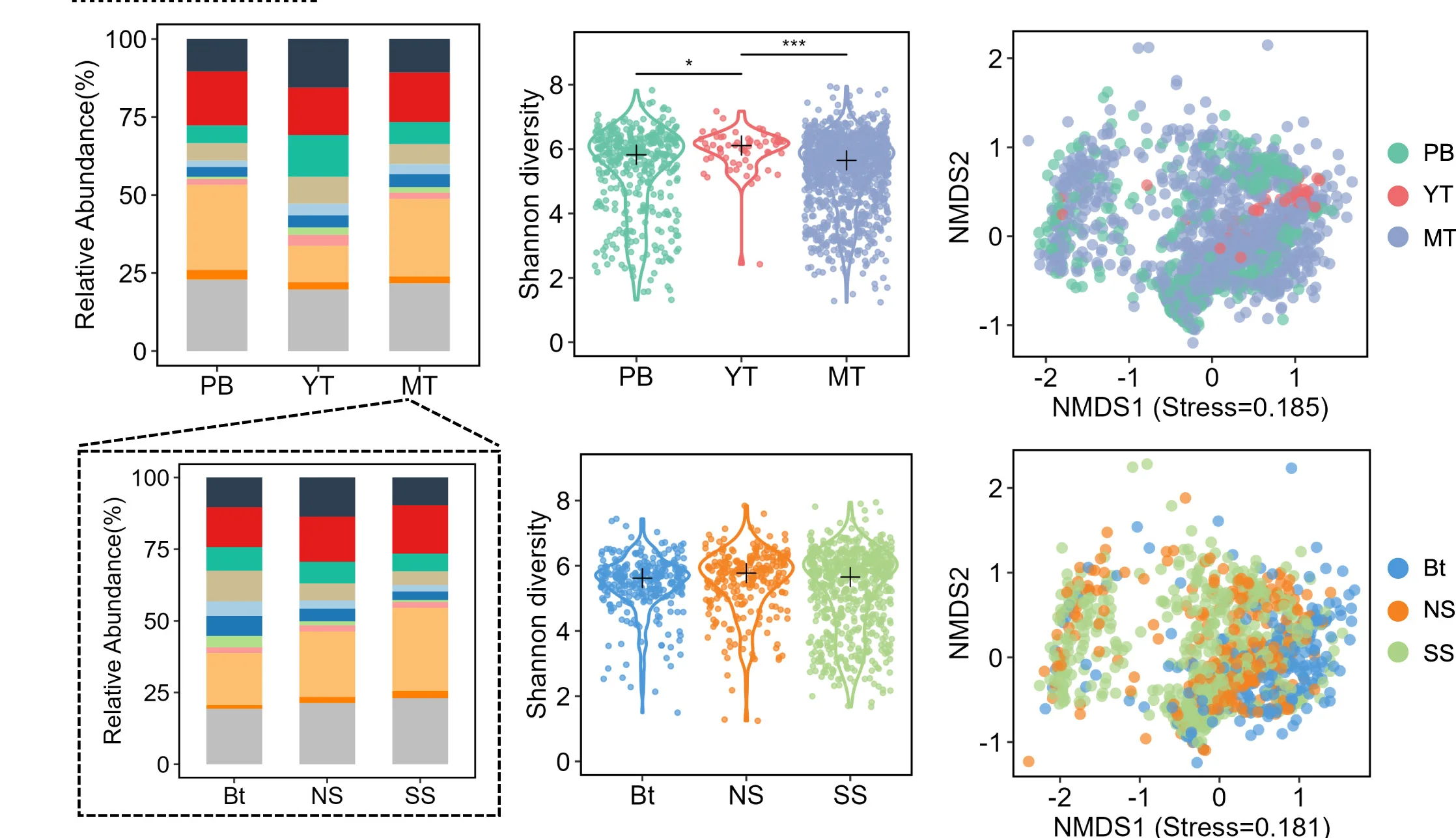 Open access visualization of Stacked Bar Plot, Violin Plot, Scatter Plot, 16S rRNA Gene, Amplicon Sequence Variant