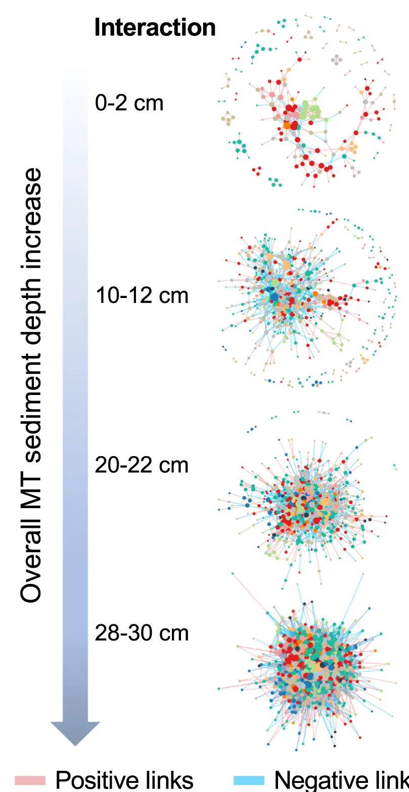 Open access visualization of Network, SRG, Microbial Networks, Mariana Trench