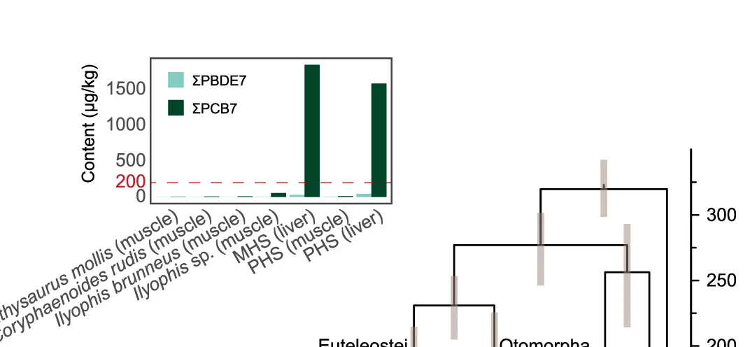 Open access visualization of Bar Plot, Error Bars, Network, Persistent Organic Pollutants, Muscle Tissue