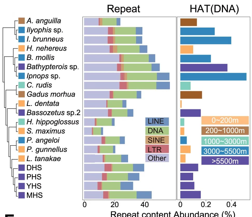 Open access visualization of Bar Plot, Stacked Bar Plot, Deep-Sea Fish, Genome, Repetitive Sequences