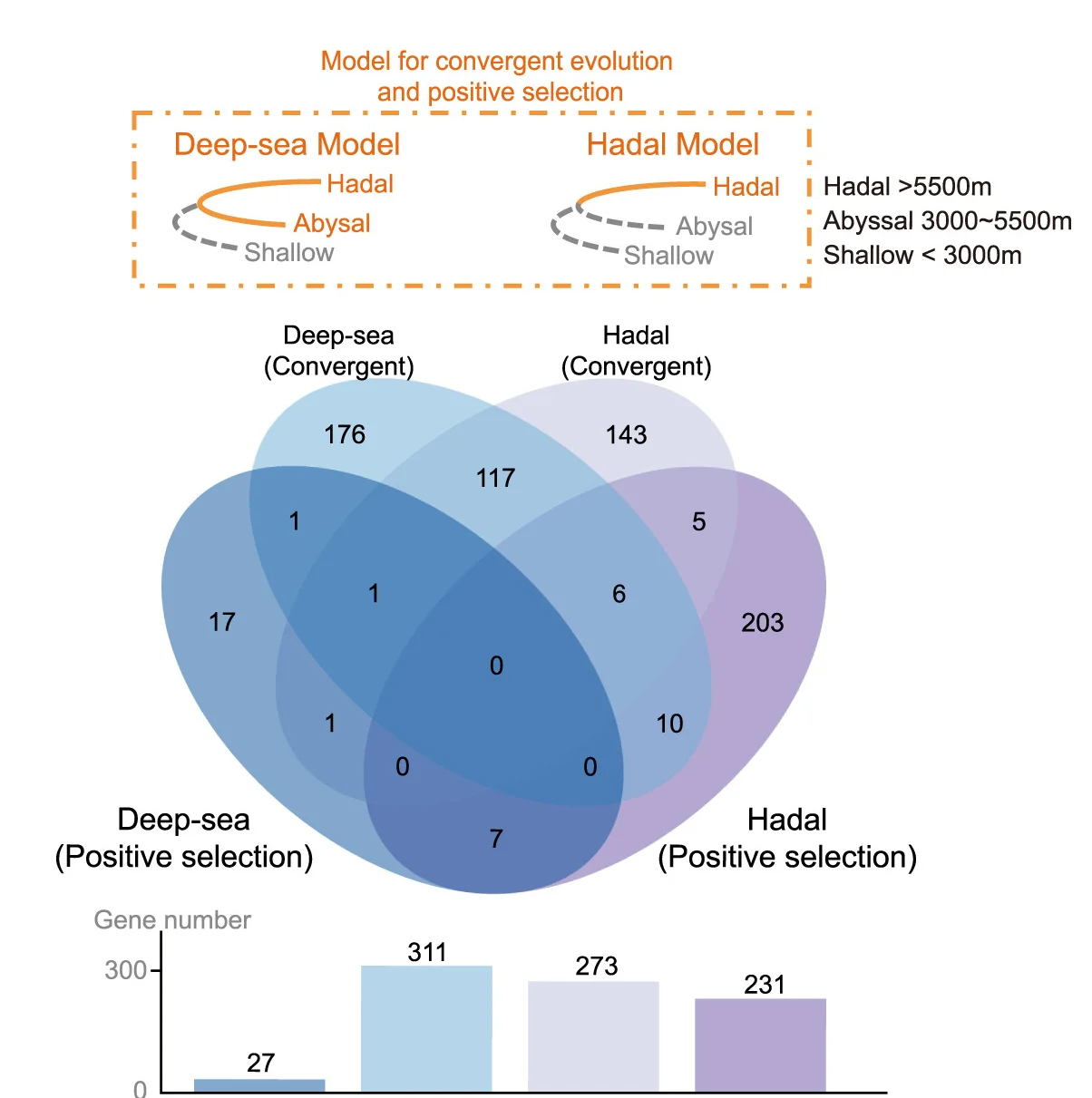 Open access visualization of Venn Diagram, Bar Plot, Venn Plot, Genes, Convergent Selection