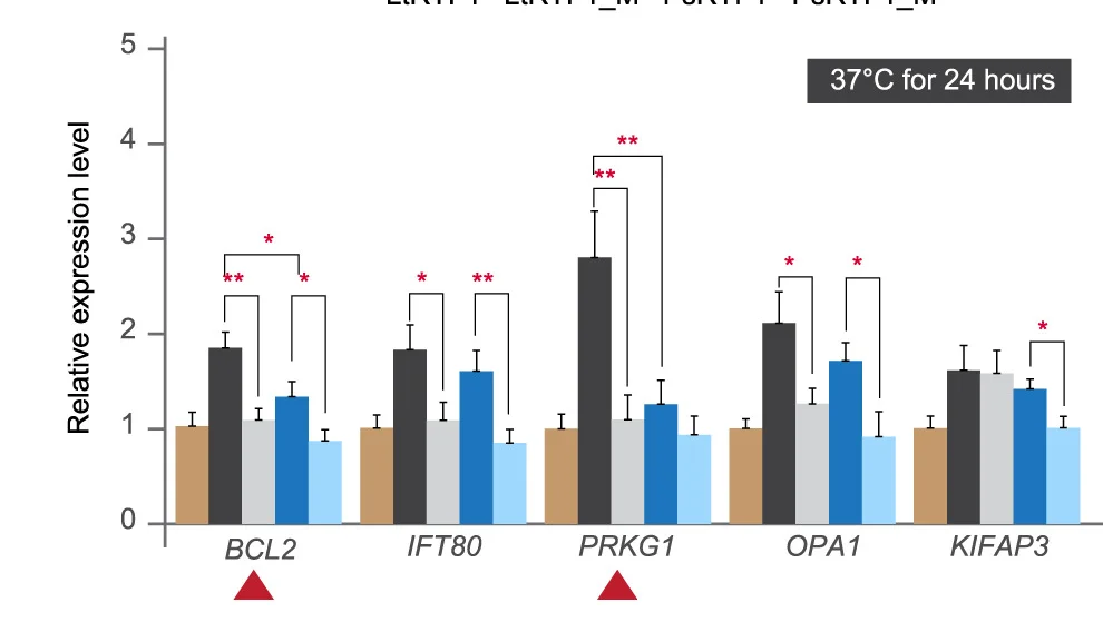 Open access visualization of Bar Plot, Error Bars, Clustered, rtf1, Site Mutations
