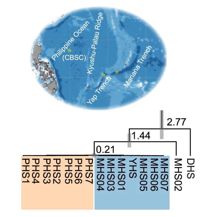 Open access visualization of Geo Map, Bar Plot, Error Bars, Network, Sampling Locations