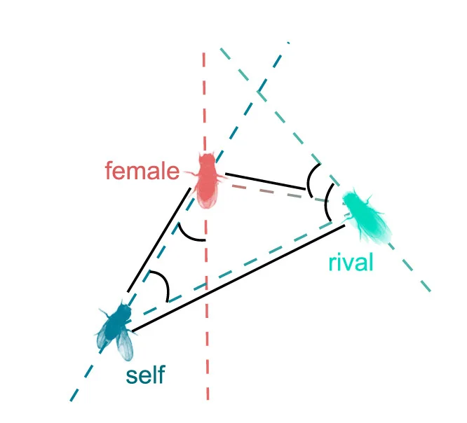 Open access visualization of Illustration, t-SNE, MMF Triads, Spatial Configuration