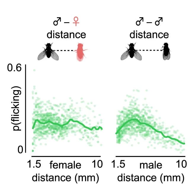 Open access visualization of Scatter Plot, Line Plot, Wing Flicks, Male, Distance