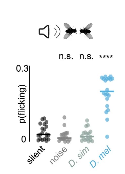 Open access visualization of Scatter Plot, Wing Flicks, Male, MMF Assays, Intact