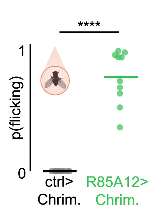 Open access visualization of Scatter Plot, Probability, Control Males, Males, Wing Flicks