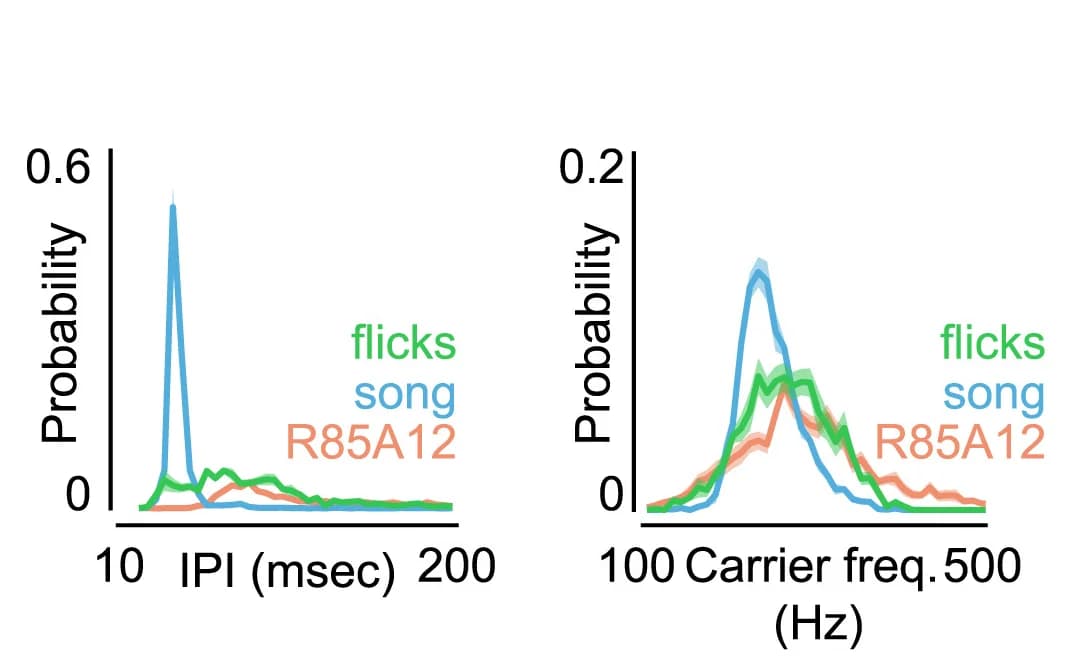 Open access visualization of Line Plot, Density Plot, Error Bars, Inter-Pulse-Intervals, Carrier Frequencies