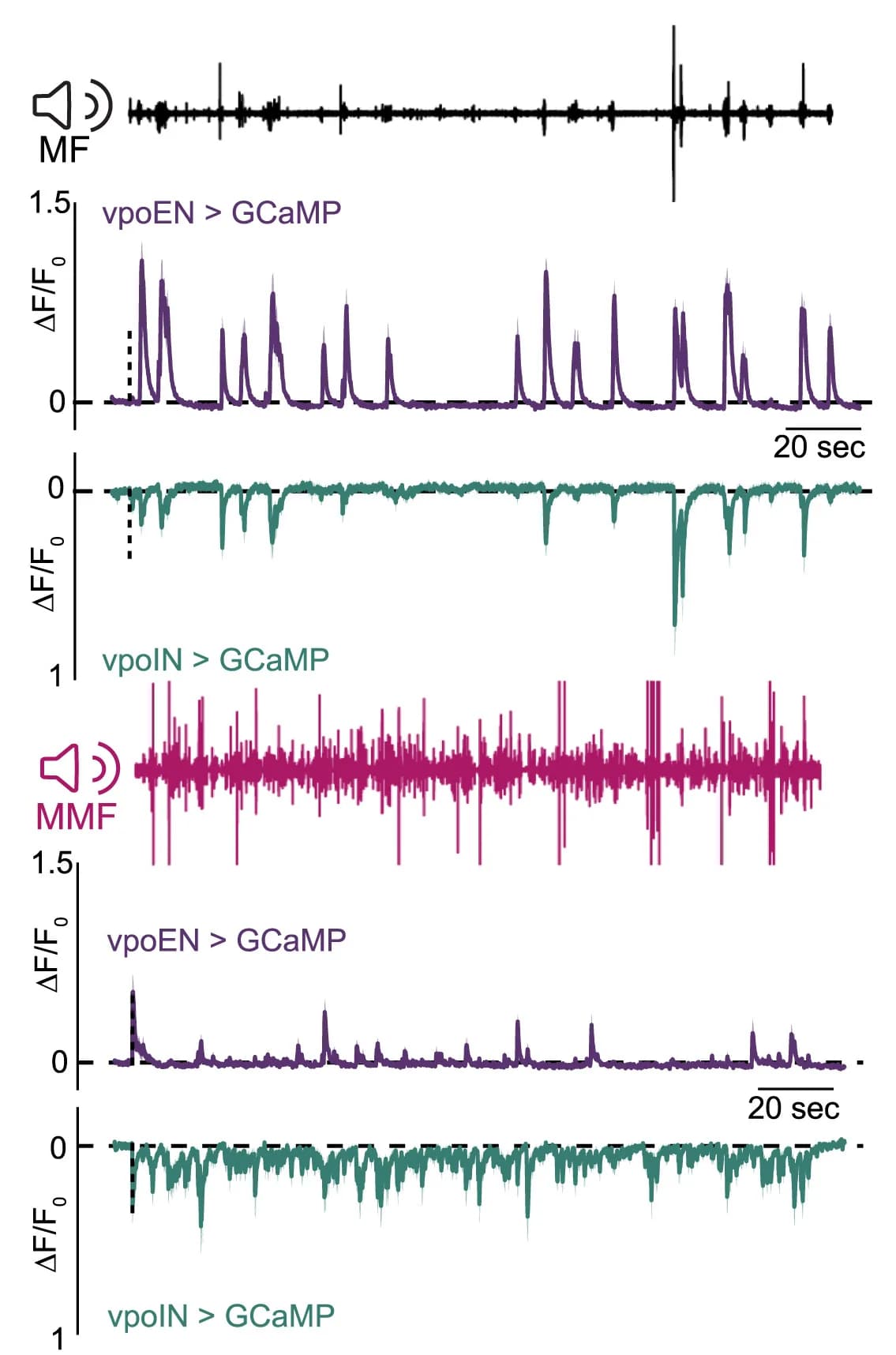 Open access visualization of Line Plot, Error Bars, vpoEN, vpoIN, Activity