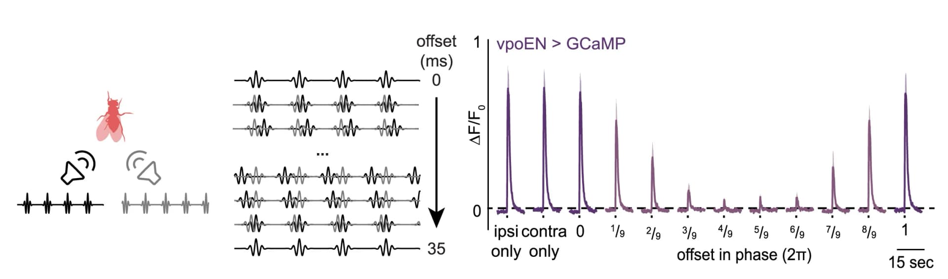 Open access visualization of Line Plot, Error Bars, Pulse Song, Stimuli, Phase Shift