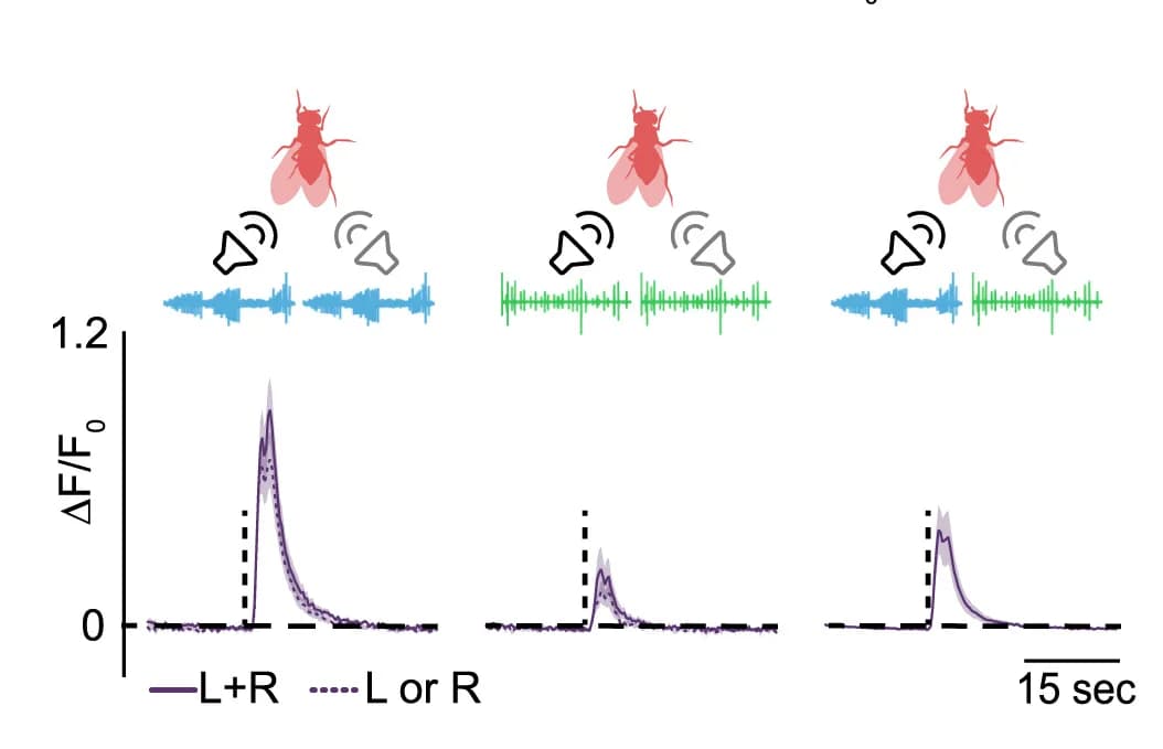 Open access visualization of Line Plot, Error Bars, Line Step, vpoEN, Response