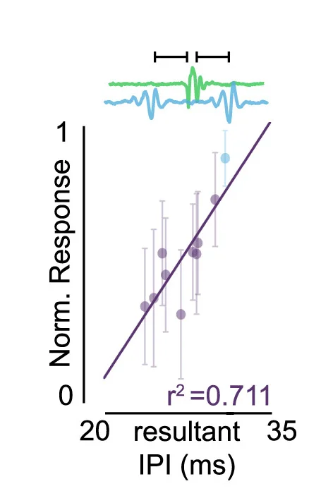 Open access visualization of Scatter Plot, Regression Plot, Error Bars, Line Plot, vpoEN
