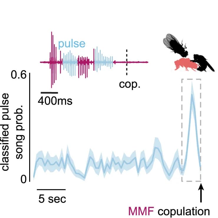 Open access visualization of Line Plot, Error Bars, Acoustic Recording, Copulation, MMF Triad