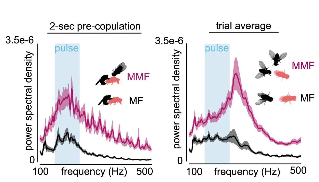 Open access visualization of Line Plot, Error Bars, Density Plot, Power Spectra, Acoustic Recordings