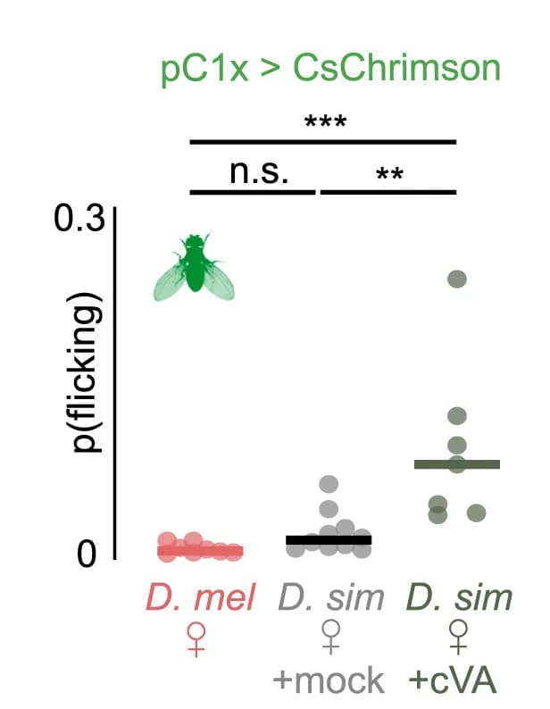Open access visualization of Scatter Plot, Linear Speed, Probability of Singing, Probability of Flicking, Pulse Trains
