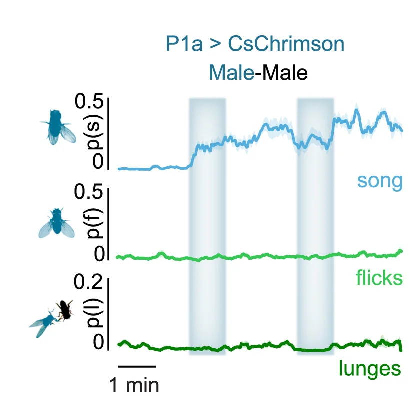 Open access visualization of Line Plot, Error Bars, Probability, Wing Extensions, Wing Flicks