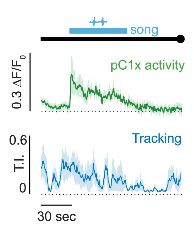 Open access visualization of Line Plot, Error Bars, Neuron Activity, Tracking Index, Visual Motion