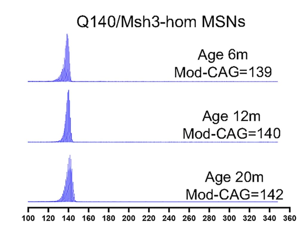 Open access visualization of Line Plot, GeneMapper Traces, mHtt CAG Repeats, Striatal MSN Nuclei, FANS