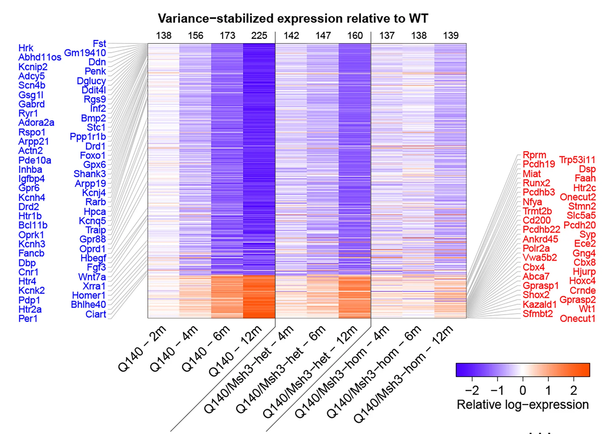 Open access visualization of Heatmap, Mean Expression, Genotype, Age, WT Controls