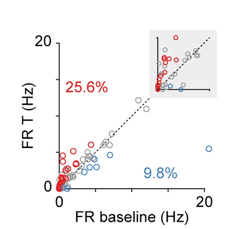 Open access visualization of Scatter Plot, Regression Plot, Scatterplot, Firing Rates, Baseline