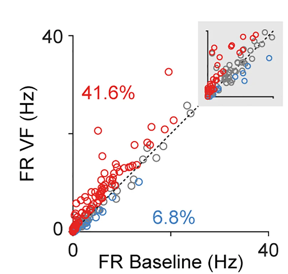 Open access visualization of Scatter Plot, Regression Plot, Scatterplot, Median Firing Rate, Baseline