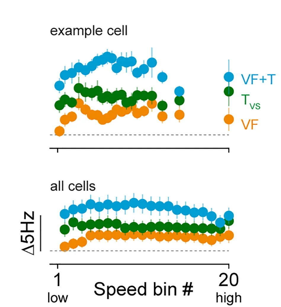 Open access visualization of Scatter Plot, Error Bars, Firing Rate, Baseline, Speed Bins
