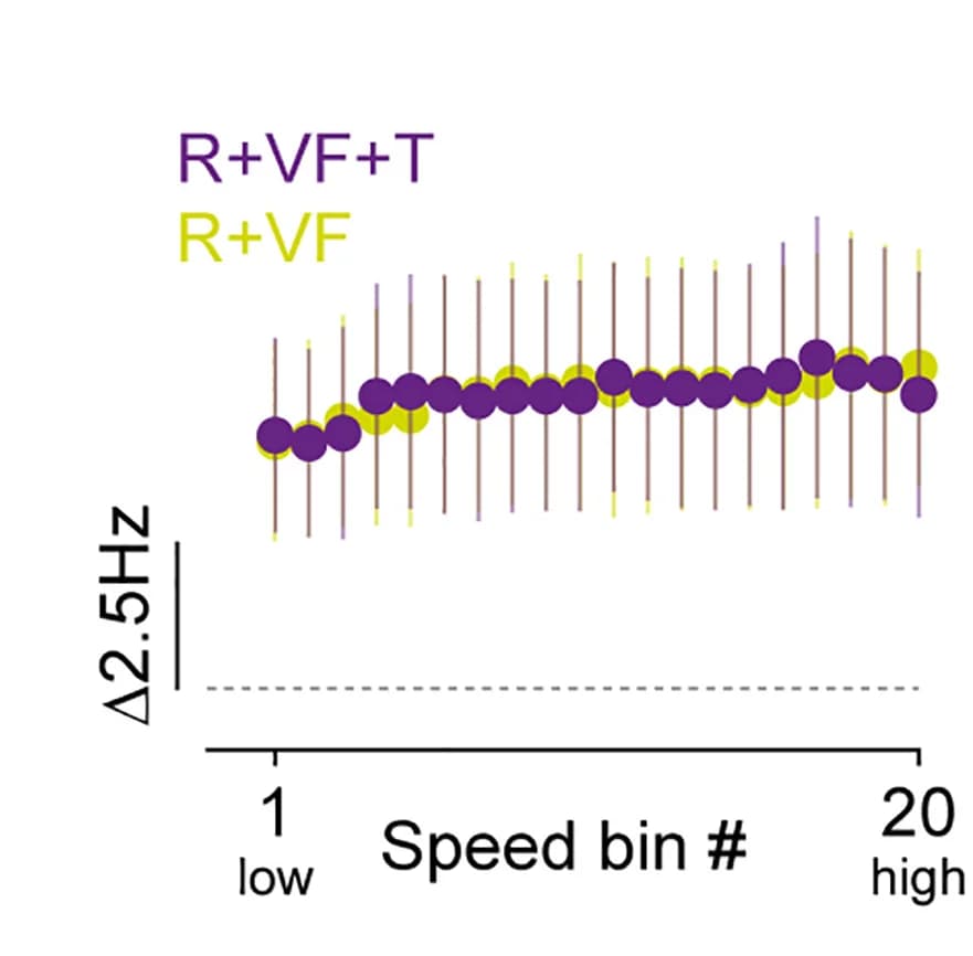 Open access visualization of Scatter Plot, Error Bars, Firing Rate, Baseline, Speed Bins