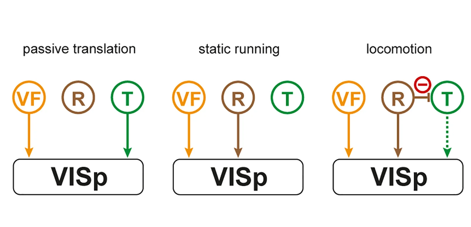 Open access visualization of Workflow, Flowchart, Illustration, Rate-Based Model, VISp Neuron