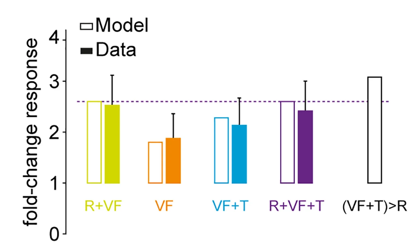 Open access visualization of Bar Plot, Clustered, Error Bars, Fold-Change, Firing Rate