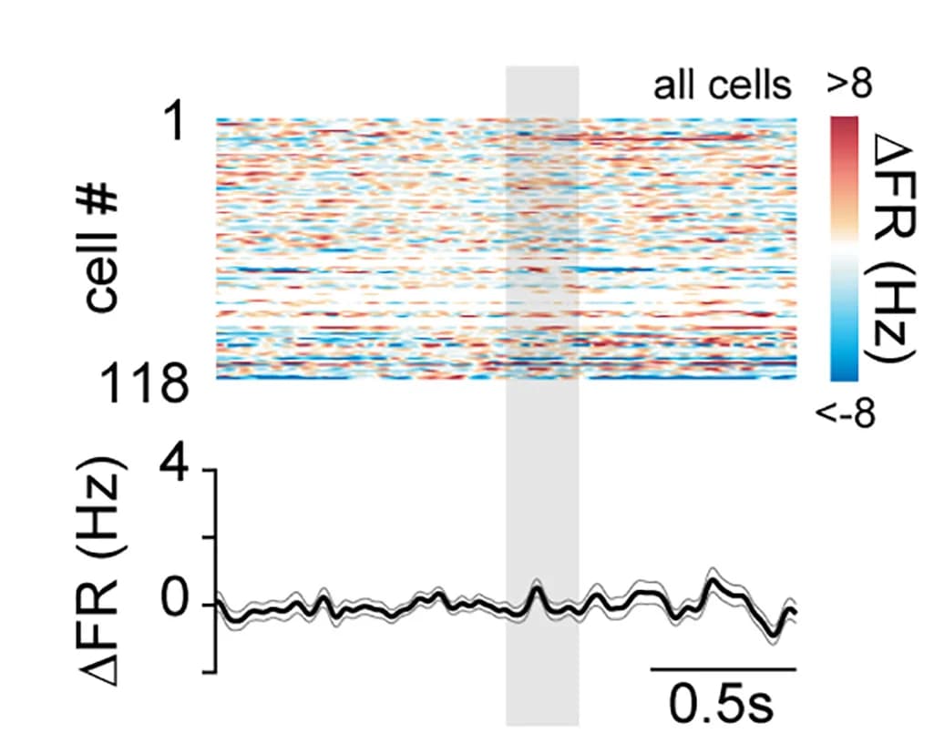 Open access visualization of Heatmap, Line Plot, Error Bars, Spike Density Functions, Units