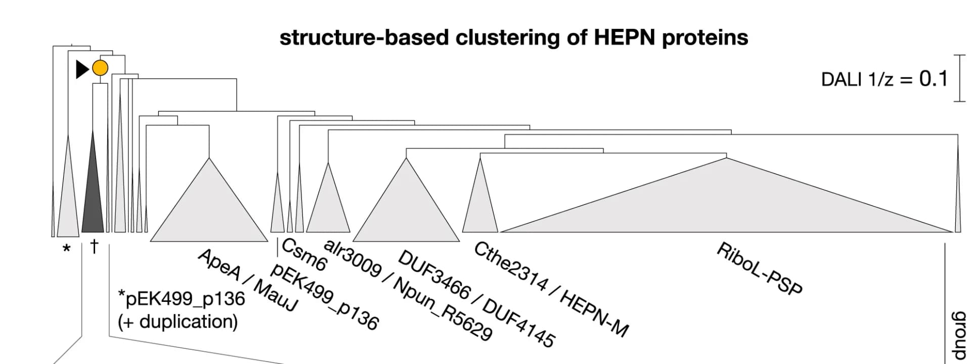 Open access visualization of Network, Pathway, AF2, Structure Clustering, Dendrogram