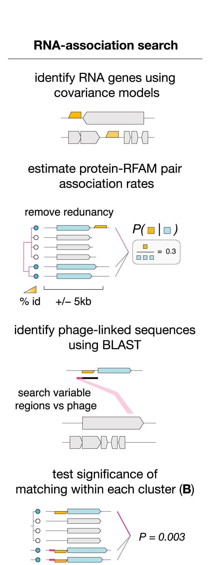 Open access visualization of Workflow, Illustration, RNA, Prokaryotic, Protein