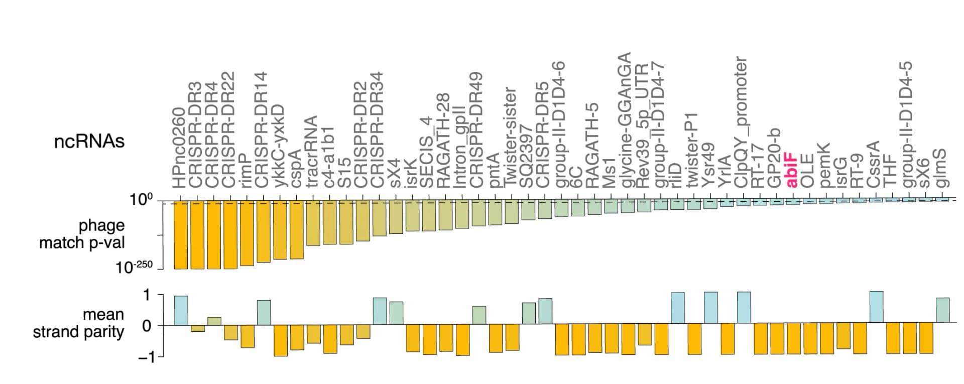 Open access visualization of Bar Plot, Clustered, Phage, RNA, RFAM