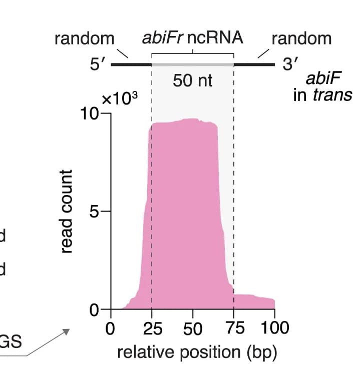 Open access visualization of Density Plot, RNA Sequencing, Reads, ncRNA Processing, In Vitro